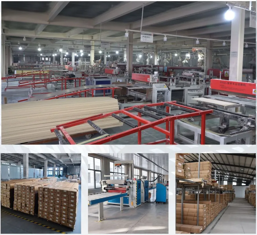 LUJAIN factory - production lines and quality inspection